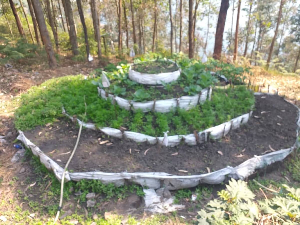 Jardin potager aménagé en spirale