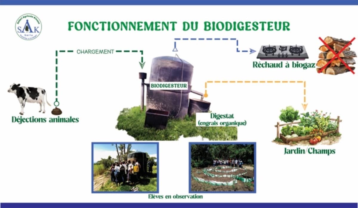Schéma de fonctionnement du biodigesteur